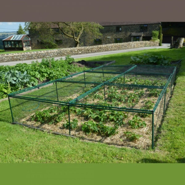 1' 6" High x 8' Wide Fruit & Vegetable Cage