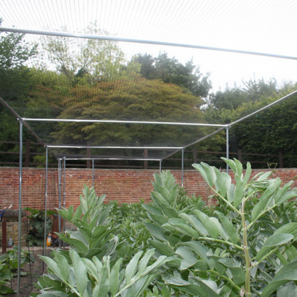 Heavy Duty Fruit Cage 24' Wide Hotbox Heaters