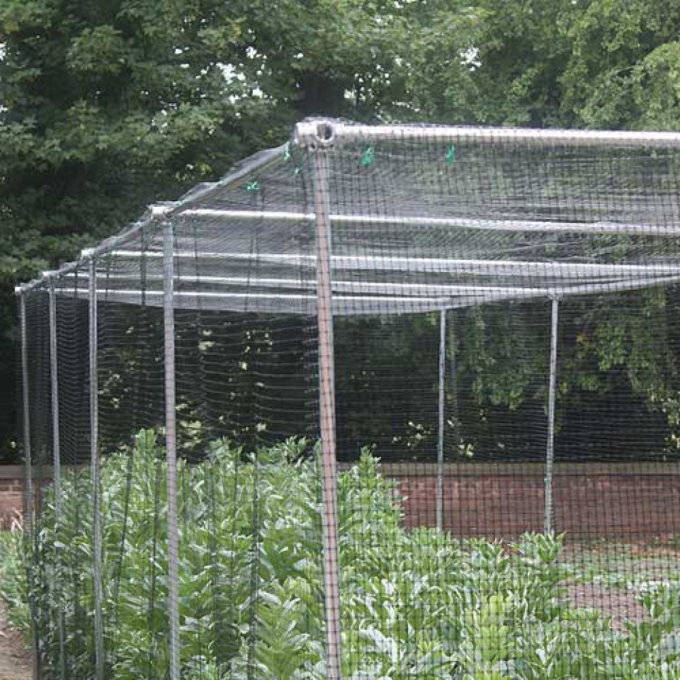 Heavy Duty Fruit Cage 24' Wide Hotbox Heaters