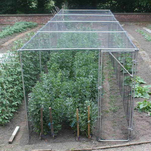 Heavy Duty Fruit Cage